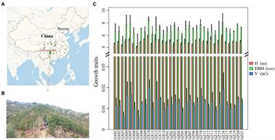 Characterization of 35 Masson pine (Pinus massoniana) half-sib families from two provinces based on metabolite properties